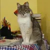 Отзыв от Варвара Артемова